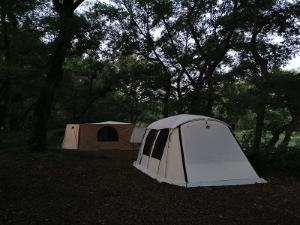 Camping in forest and test new tents